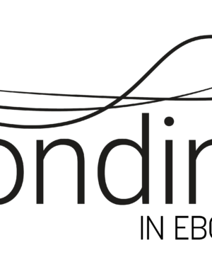 Rondini_ebook